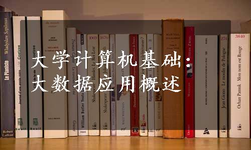 大学计算机基础：大数据应用概述