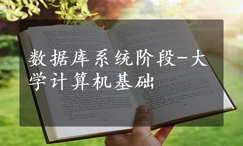 数据库系统阶段-大学计算机基础