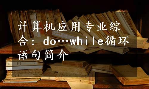 计算机应用专业综合：do…while循环语句简介