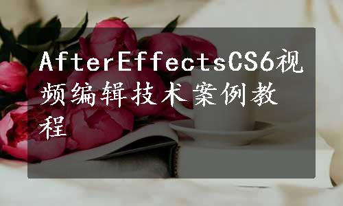 AfterEffectsCS6视频编辑技术案例教程