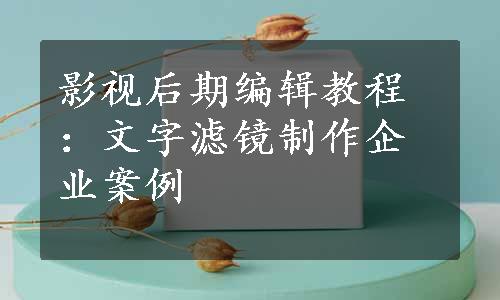 影视后期编辑教程：文字滤镜制作企业案例