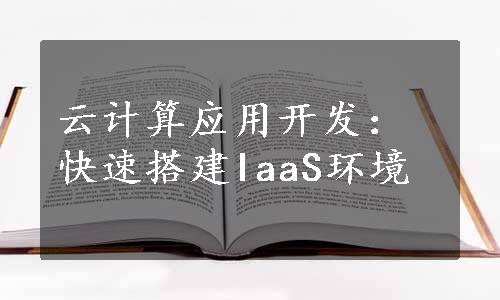 云计算应用开发：快速搭建IaaS环境