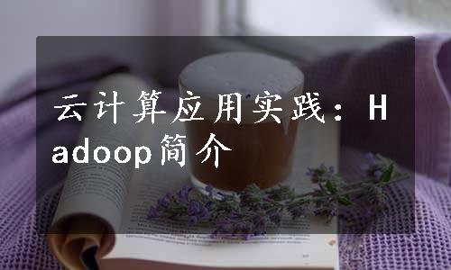 云计算应用实践：Hadoop简介