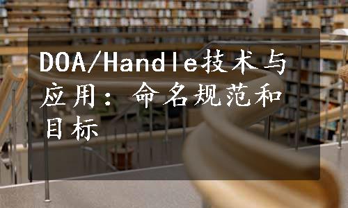 DOA/Handle技术与应用：命名规范和目标