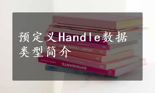 预定义Handle数据类型简介