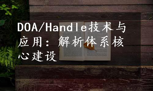 DOA/Handle技术与应用：解析体系核心建设