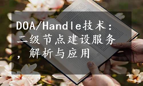 DOA/Handle技术：二级节点建设服务，解析与应用