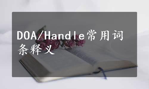 DOA/Handle常用词条释义