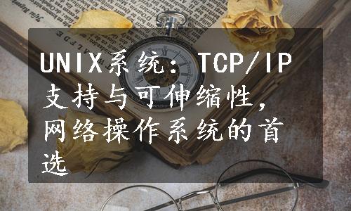 UNIX系统：TCP/IP支持与可伸缩性，网络操作系统的首选