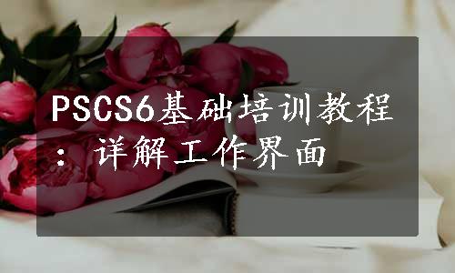 PSCS6基础培训教程：详解工作界面