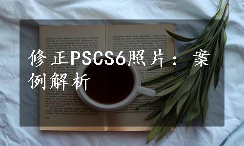 修正PSCS6照片：案例解析