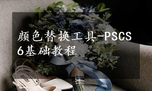 颜色替换工具-PSCS6基础教程