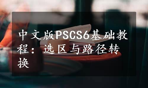 中文版PSCS6基础教程：选区与路径转换