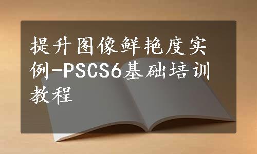 提升图像鲜艳度实例-PSCS6基础培训教程