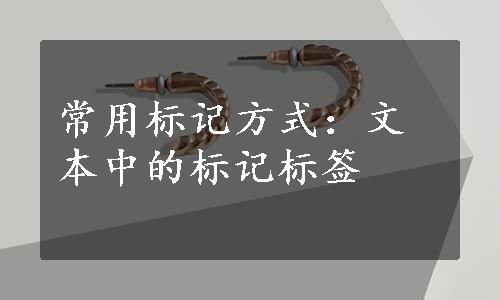 常用标记方式：文本中的标记标签