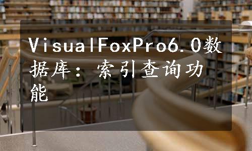 VisualFoxPro6.0数据库：索引查询功能