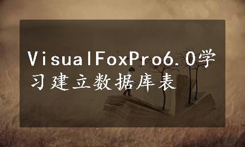 VisualFoxPro6.0学习建立数据库表