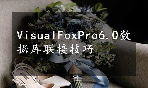 VisualFoxPro6.0数据库联接技巧