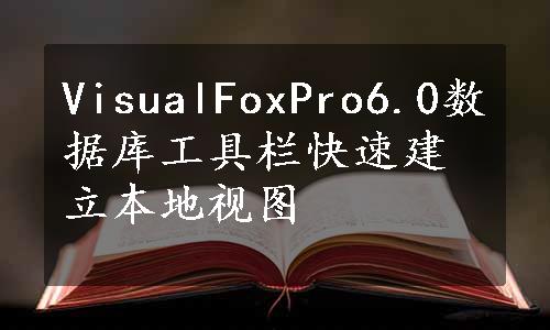 VisualFoxPro6.0数据库工具栏快速建立本地视图