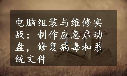 电脑组装与维修实战：制作应急启动盘，修复病毒和系统文件