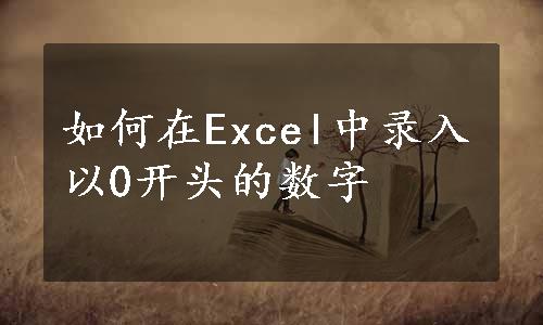 如何在Excel中录入以0开头的数字