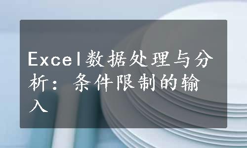 Excel数据处理与分析：条件限制的输入