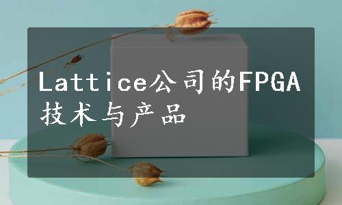 Lattice公司的FPGA技术与产品