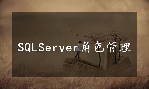 SQLServer角色管理