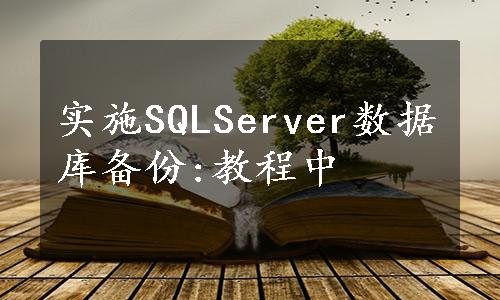 实施SQLServer数据库备份:教程中