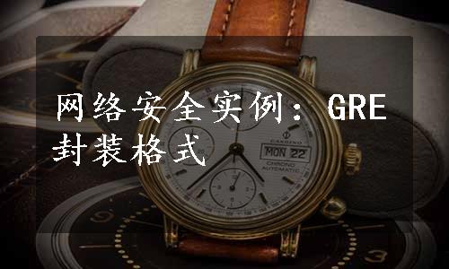 网络安全实例：GRE封装格式