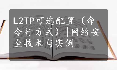 L2TP可选配置（命令行方式）|网络安全技术与实例