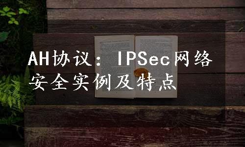 AH协议：IPSec网络安全实例及特点