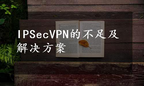 IPSecVPN的不足及解决方案