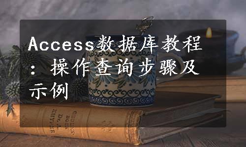 Access数据库教程：操作查询步骤及示例