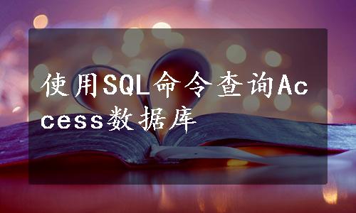 使用SQL命令查询Access数据库