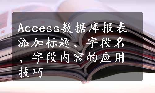 Access数据库报表添加标题、字段名、字段内容的应用技巧