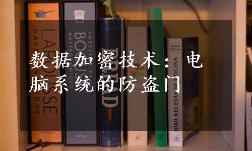 数据加密技术：电脑系统的防盗门