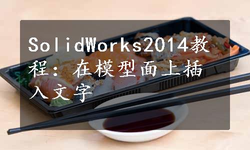 SolidWorks2014教程：在模型面上插入文字