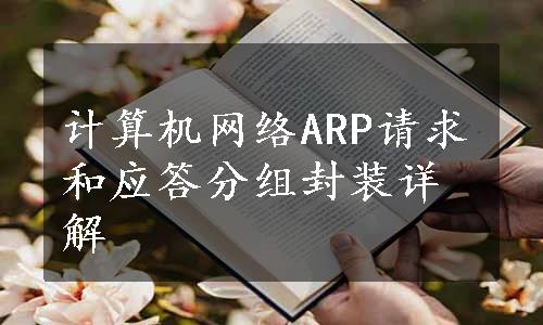 计算机网络ARP请求和应答分组封装详解