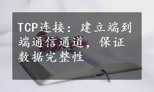 TCP连接：建立端到端通信通道，保证数据完整性