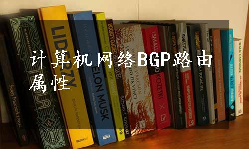 计算机网络BGP路由属性