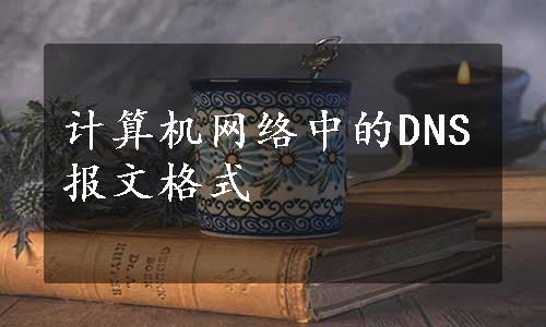 计算机网络中的DNS报文格式