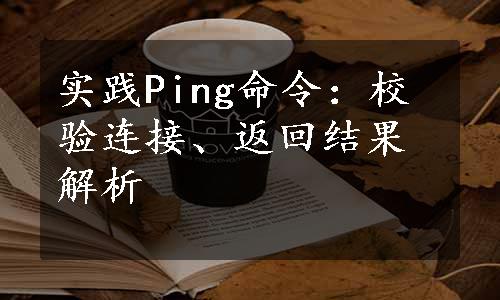 实践Ping命令：校验连接、返回结果解析