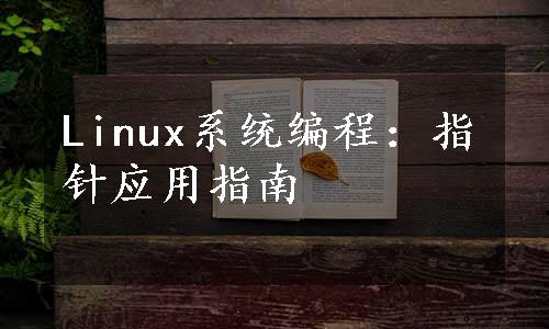 Linux系统编程：指针应用指南