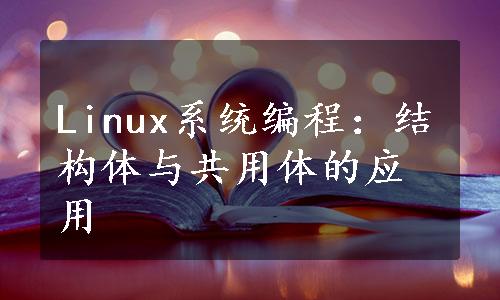 Linux系统编程：结构体与共用体的应用