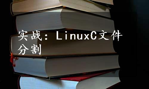 实战：LinuxC文件分割