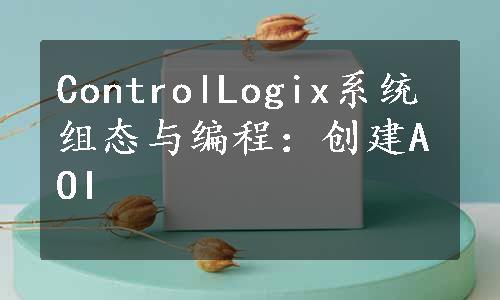 ControlLogix系统组态与编程：创建AOI