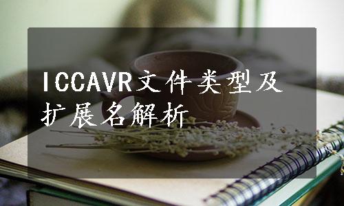 ICCAVR文件类型及扩展名解析