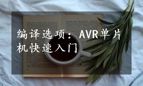 编译选项：AVR单片机快速入门