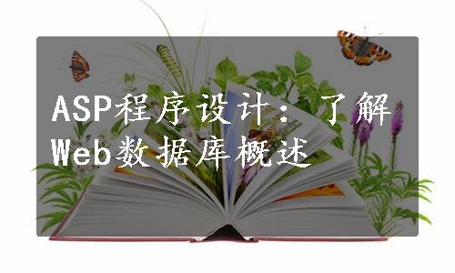 ASP程序设计：了解Web数据库概述